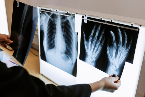 RAO - Year 8 Science and Health Taster Day