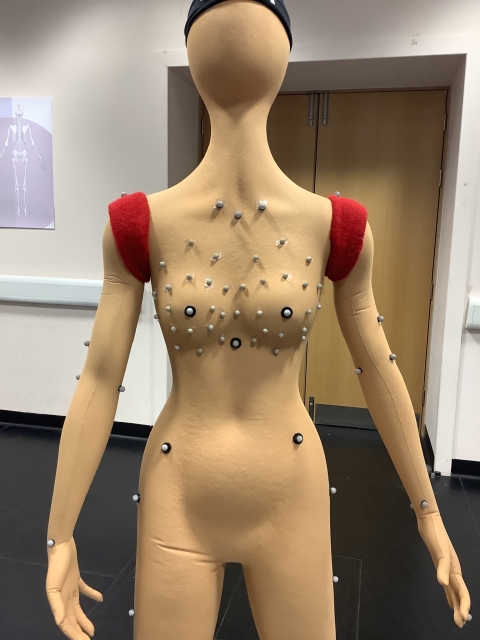 Image caption: Markers used to quantify the motion of the breasts and body.