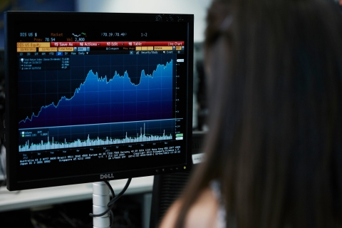 Person looking at a graph on a computer screen