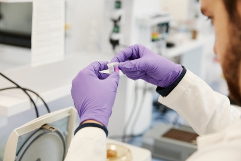 A pair of gloved hands holding a scientific sample.
