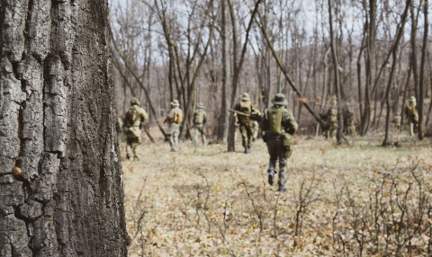 Image of troops in wooded area