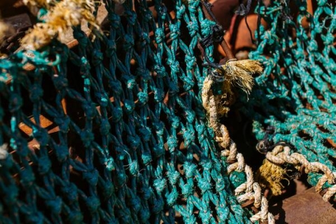 Fishing nets
