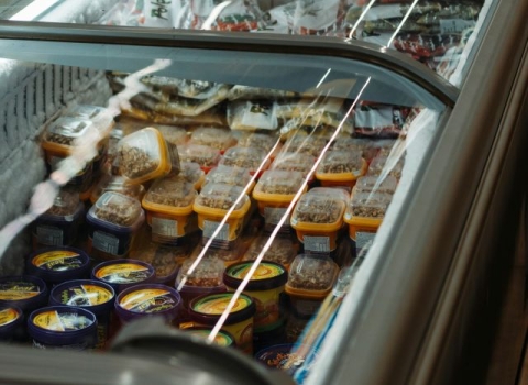 frozen food