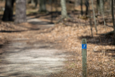unsplash image of a walking trail 