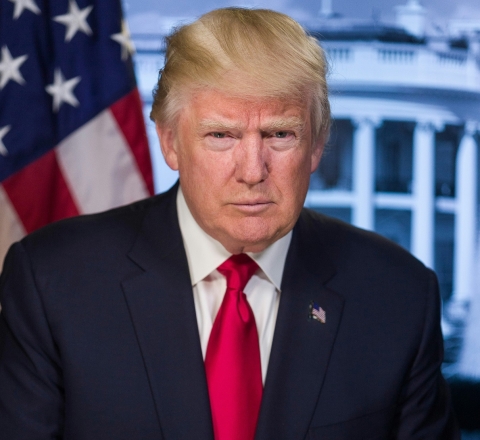 Picture of Donald Trump