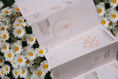 open book about pollen on a bed of daisies