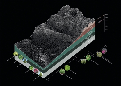 Stephanie-Wyant-Site-Analysis-Altitudinal-Zonation-Endemic Species-MArch