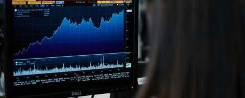 Person looking at a graph on a computer screen