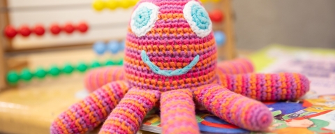 HSS Teaching Facility Milldam