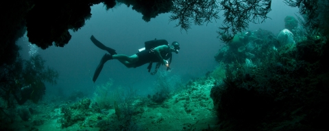 Person swimming in a wetsuit with an air tank
