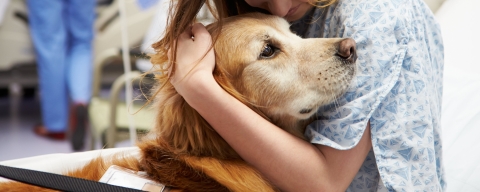 A patient with a therapy dog. BN (Hons) Nursing (Mental Health).