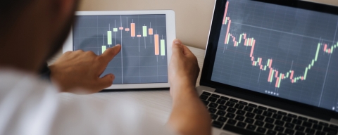 Student reviewing forecast graphs