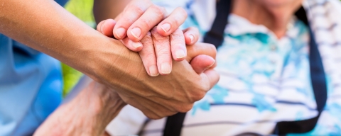 STANDARD LICENSE; PLEASE SEE ADDITIONAL ASSET FOR FULL LICENSE TERMS.