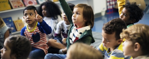 STANDARD LICENSE; PLEASE SEE ADDITIONAL ASSET FOR FULL LICENSE TERMS.