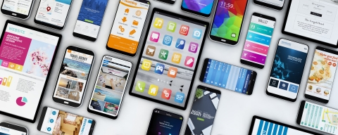 STANDARD LICENSE; PLEASE SEE ADDITIONAL ASSET FOR FULL LICENSE TERMS.