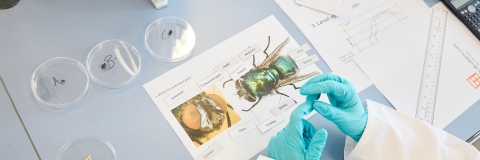 RAO Up for Uni Residential 2023 - Day Two