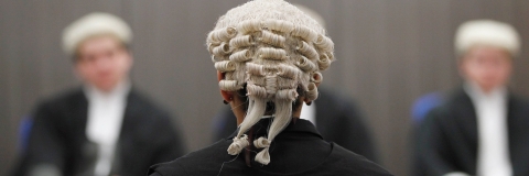 The back of a barrister in court wearing a peruke