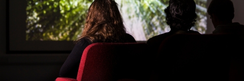 people in a theatre, watching a film