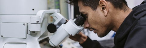 Student experimenting