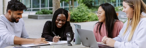 Students studying together