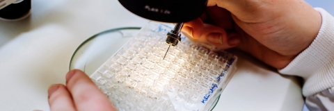 16th & 17th January 2019
Centre for Enzyme Innovation Bid