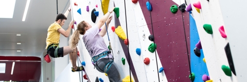 Students using the climbing wall at Ravelin Sports Centre
