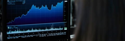 Person looking at a graph on a computer screen