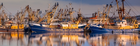 Fishing boats in a harbour