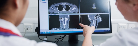 Nurse pointing at scan on computer screen