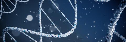 UNSPLASH STOCK PHOTOGRAPHY - FREE TO USE UNDER THE UNSPLASH LICSENSE.