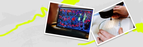 Researchers working on computer model of molecules and sample tray