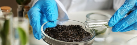 Scientist testing soils