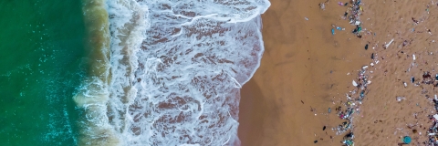 STANDARD LICENSE; PLEASE SEE ADDITIONAL ASSET FOR FULL LICENSE TERMS.