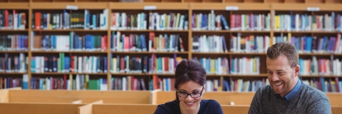 STANDARD LICENSE; PLEASE SEE ADDITIONAL ASSET FOR FULL LICENSE TERMS.