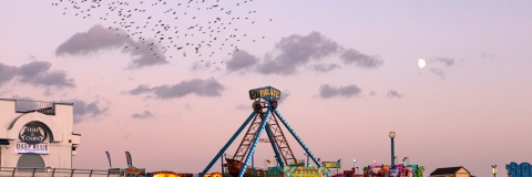 south parade pier in southsea at dusk