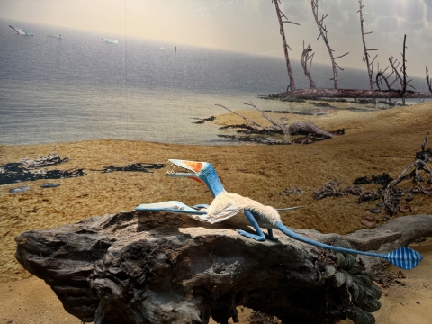 Reconstruction of an Early Jurassic habitat in Southwest-Germany