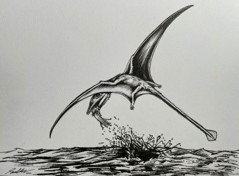  Illustration of the pterosaur Campylognathoides hunting squid