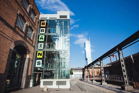 Curatorship: Brains to Biennale — bridging art and science to build audiences and develop artists