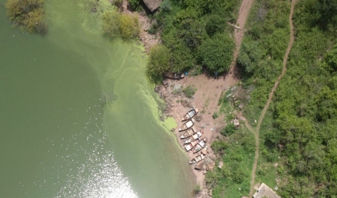 dron photo of the wide-area