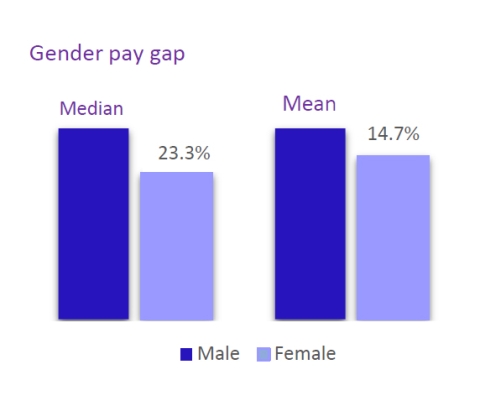 Bar chart showing that the median gender pay gap between male and female workers is 23.3%, and the mean difference between male and female earners is 14.7%