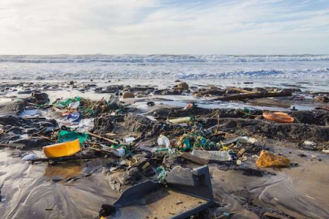 plastic pollution on a beach