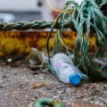 Plastic bottle caught in waste