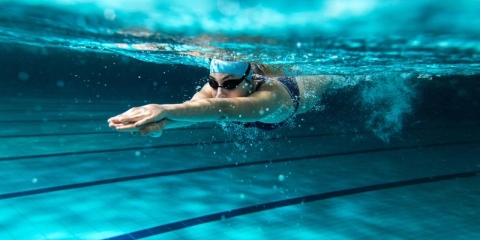 STANDARD LICENSE; PLEASE SEE ADDITIONAL ASSET FOR FULL LICENSE TERMS.