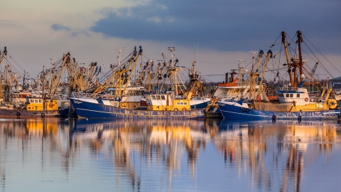 Fishing boats in a harbour